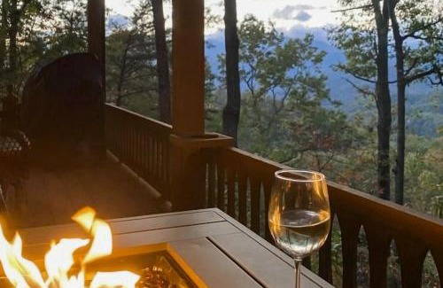 Bryson City House | DJ Bear Den