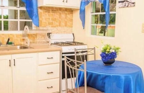 Saint Peter Parish Apartment | Doc's Paradise Blue Apartment