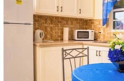 Saint Peter Parish Apartment | Doc's Paradise Blue Apartment