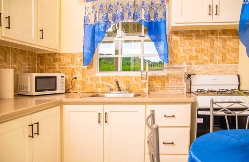 Saint Peter Parish Apartment | Doc's Paradise Blue Apartment