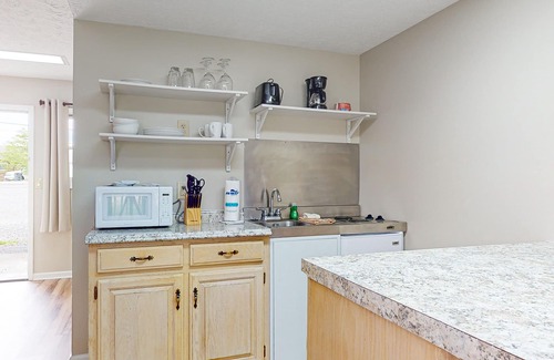 Baneberry Apartment | Dog-friendly, 1st-floor studio with picnic area & gym - walk to Douglas Lake