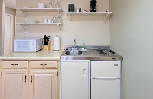Baneberry Apartment | Dog-friendly, 1st-floor studio with picnic area & gym - walk to Douglas Lake