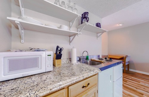 Baneberry Apartment | Dog-friendly, 1st-floor studio with gym & game room - walk to Douglas Lake