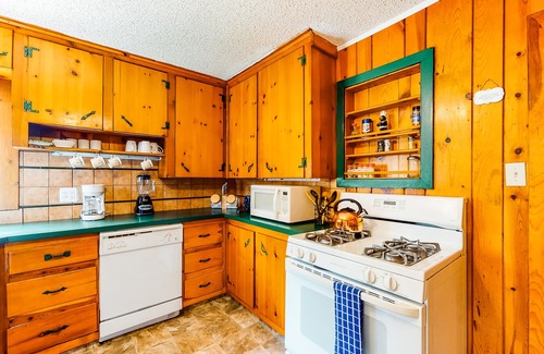 Woodland Park Cabin | Dog-friendly cabin w/full kitchen, free WiFi, great location & updated bathroom