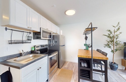 Evergreen Apartment | Dog Friendly condo with kitchen, patio & W/D - great location