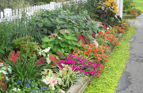 Villas Apartment | Dog Friendly, Cozy Cottage, 1st Floor Apt for 2; A Fine Art and Garden Retreat!