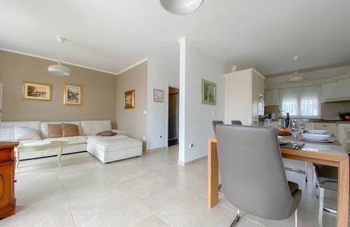 Novigrad House | Dog-friendly holiday home with barbecue area, private pool, washing machine, WiFi