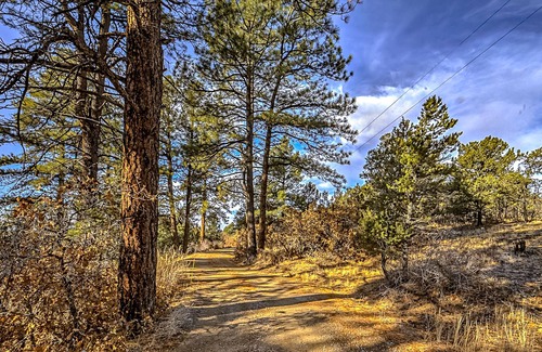 Durango - Purgatory House | Dog-friendly mountain home with a wood-burning fireplace, patio, & central AC