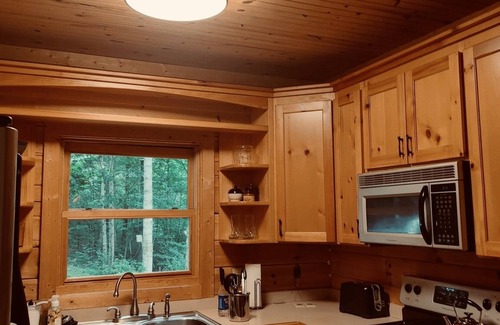 Franklin Cabin | Dog Friendly Secluded Cabin Hideaway in Franklin