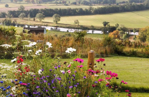 Pitlochry Cabin | Dog friendly Shepards hut with stunnng views - perfect Scottish getaway