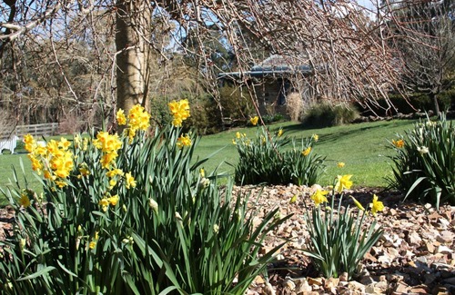 Muskvale Cottage | Dog-friendly studio close to Daylesford - The Stoney at Hollow Log Estate
