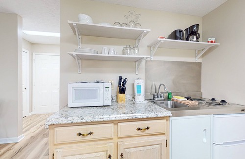 Baneberry Apartment | Dog-friendly studio with peaceful views, game room & gym - walk to Douglas Lake