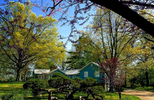 Eureka Springs House | Dog-friendly suite with a pool, mountain views, & partial AC