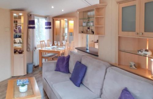 Shaftesbury House | Doggy Dell