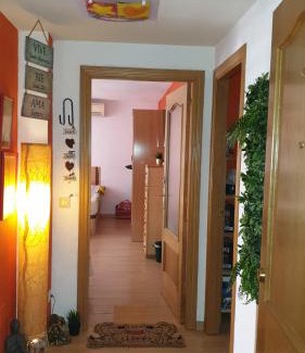 Parla House | DOGGY House&hosting DOGS&FAMILY