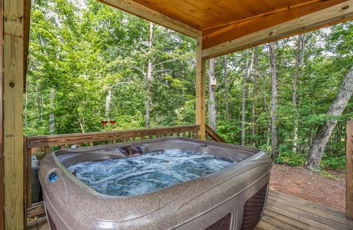 Morganton House | Dogwood Cabin Cozy Mountain Retreat Near Blue Ridge