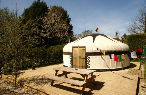 Ewhurst Green Other | Dogwood Yurt
