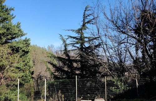 San Sebastiano da Po House | Dolce Verde Casa - traditional and completely renovated Piemontese house