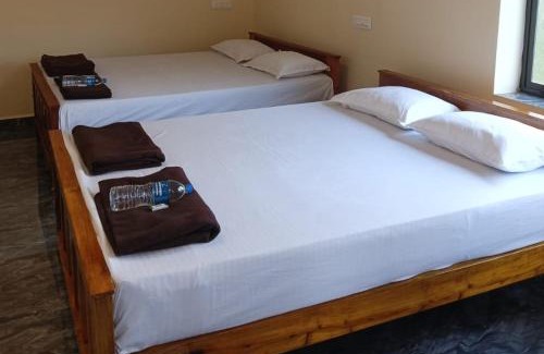 Hireguthi House | Dolphin beach stay