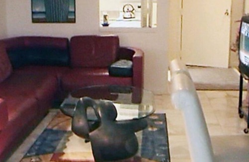 Northeast Virginia Beach Condo | Dolphin Run Condo, 2 Bedroom 2 bath, Oceanfront, Dolphin Watch from balcony