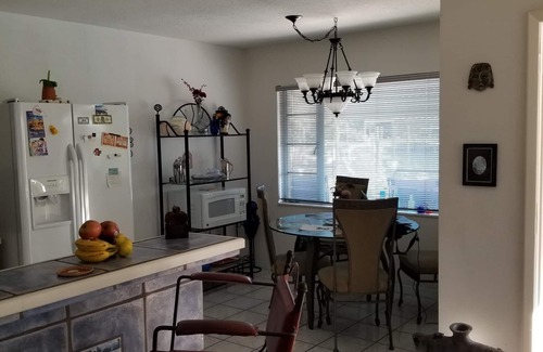 Madeira Beach House | Dolphins and Manatees in Your Backyard!