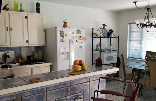 Madeira Beach House | Dolphins and Manatees in Your Backyard!