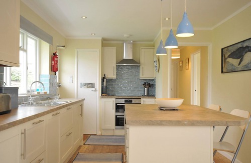Trebetherick Cottage | Dolphins