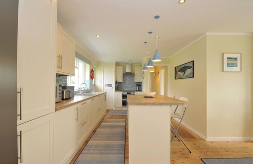Trebetherick Cottage | Dolphins