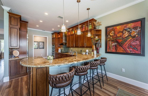 Palm Harbor House | Dolphins in your backyard! Peaceful waterfront oasis w/sparkling pool & hottub.