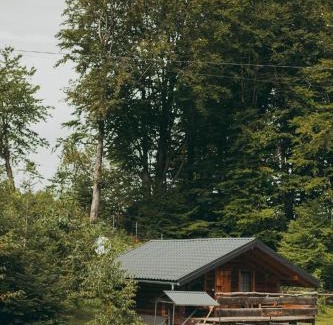 Vyzhnytsya Cabin | Dolyna Mykolaya