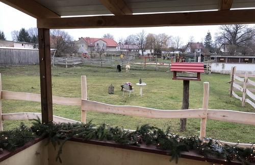 Radisleben House | Domänenhof farm