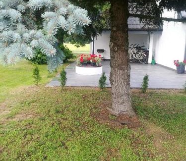 Nowa Wies Wielka House | dom do wynajecia oaza