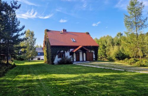 Kudowa Zdroj House | Dom Na Pstrążnicy
