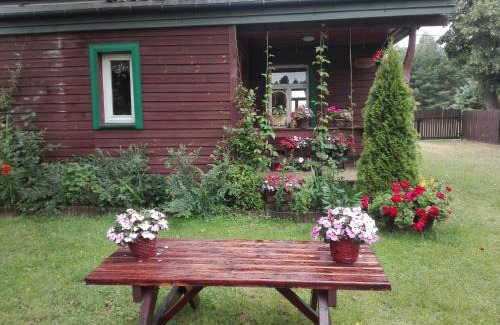 Narewka House | Dom na skraju Puszczy Białowieskiej