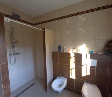 Zywiec Apartment | Dom nad jeziorem Oblasek