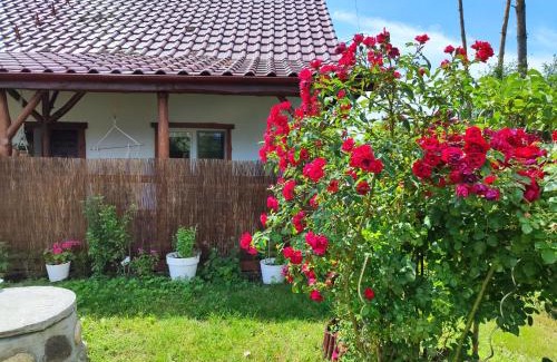 gmina Mieleszyn Villa | Dom nad jeziorem - Brzozowa Chatka