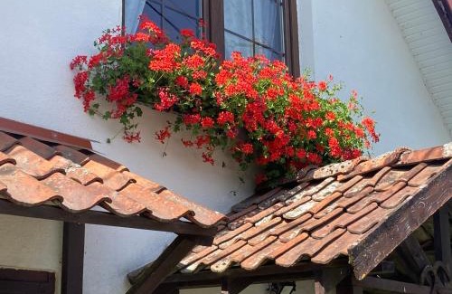 Swietajno House | Dom Piasutno
