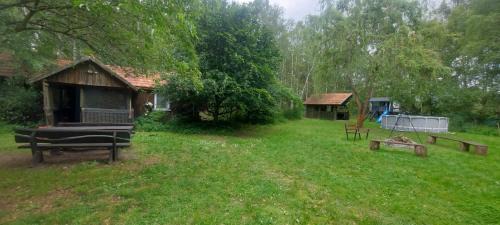 Warlubie House | Dom Pod Brzozami Lipinki Bory Tucholskie basen - psy, koty mile widziane!