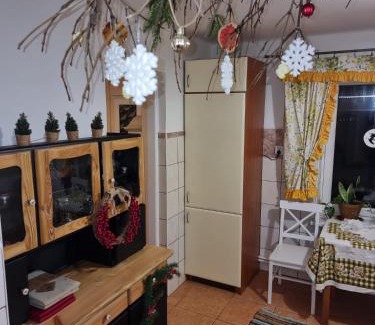 Tomaszow Lubelski Apartment | Dom pod Jabłonką