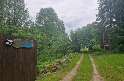gmina Przerosl House | Dom pod jabłonkami