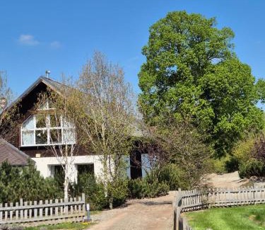 Nowa Ruda Bed & Breakfast | Dom pod lawendowym polem