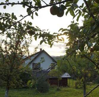 Tokarnia House | Dom przy lesie
