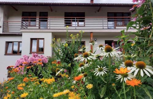 Tokarnia House | Dom przy lesie