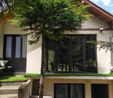 Nisava District Cabin | Dom sa pogledom Jela