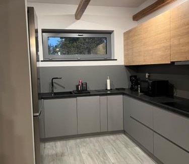 Kuznia Raciborska Apartment | Dom Villa Forest z dwupoziomowym 120 m apartamentem