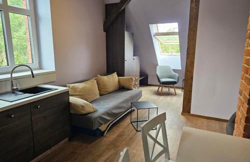 Milicz Apartment | Dom w Młodzianowie