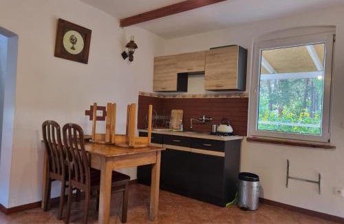 Nowa Sol House | Dom wakacyjny nad jeziorem w Jodłowie II