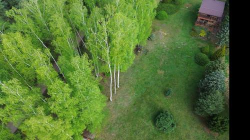 gmina Wysmierzyce House | Dom Wakacyjny z ogromnym ogrodem