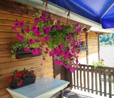 Zlatibor House | Domacinstvo Prentovic