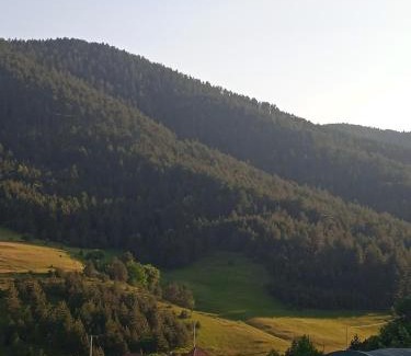 Zlatibor House | Domacinstvo Prentovic